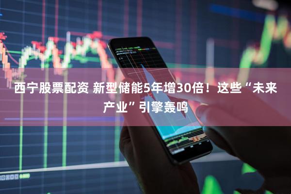 西宁股票配资 新型储能5年增30倍！这些“未来产业”引擎轰鸣