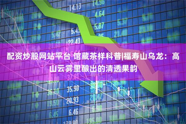 配资炒股网站平台 馆藏茶样科普|福寿山乌龙：高山云雾里酿出的清透果韵
